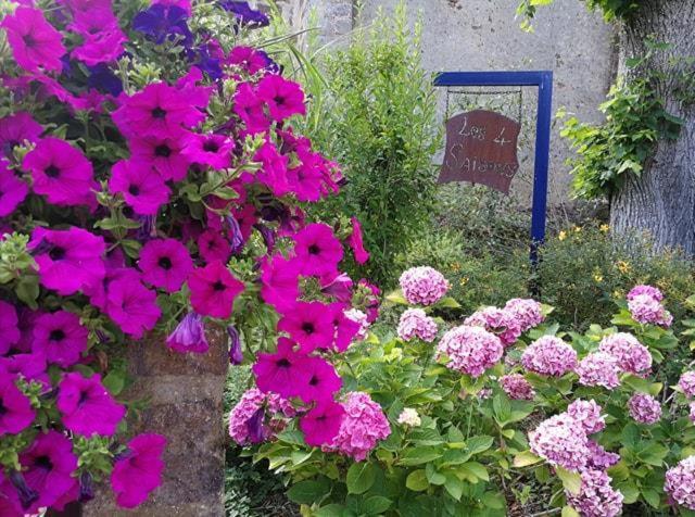 Les Quatre Saisons Moitron-sur-Sarthe Exterior foto
